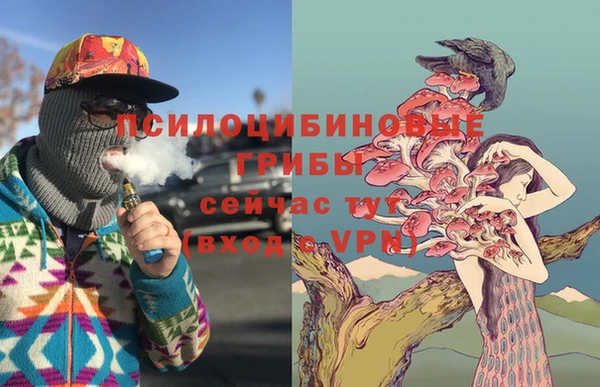 эйфоретик Алексин