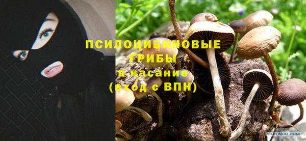 эйфоретик Алексин