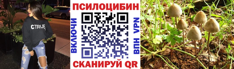 Галлюциногенные грибы мицелий Уфа