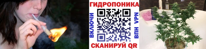 Бошки Шишки план  Уфа 